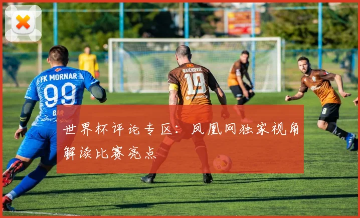 世界杯评论专区：凤凰网独家视角解读比赛亮点