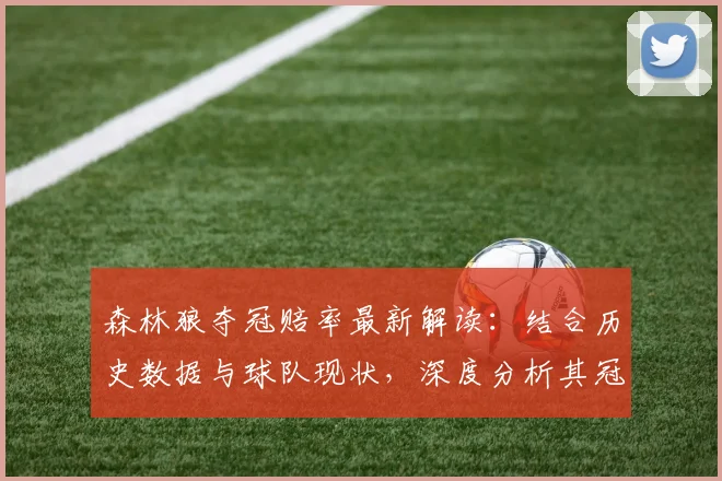 森林狼夺冠赔率最新解读：结合历史数据与球队现状，深度分析其冠军前景